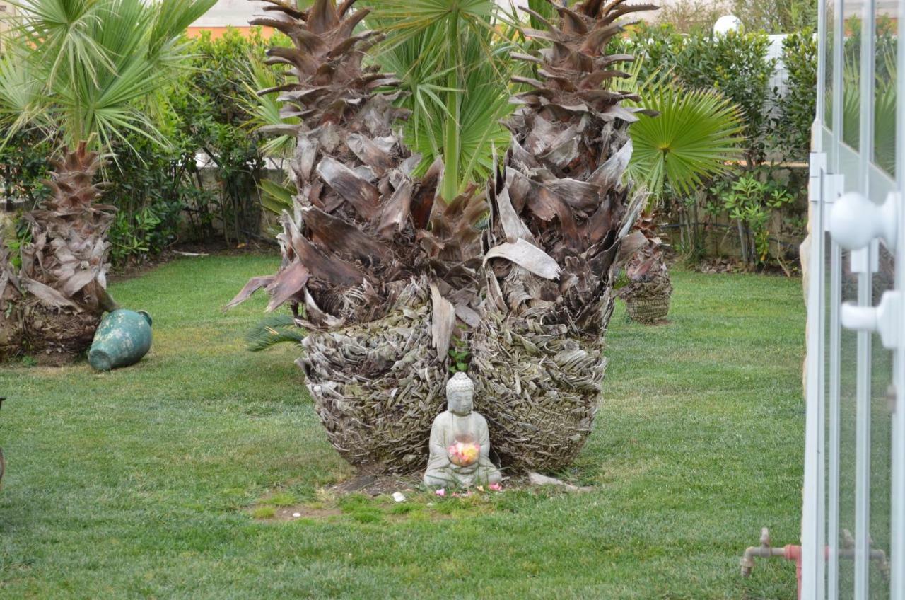 Bed and Breakfast Floripa Surf House Santa Maria Del Focallo Exteriér fotografie